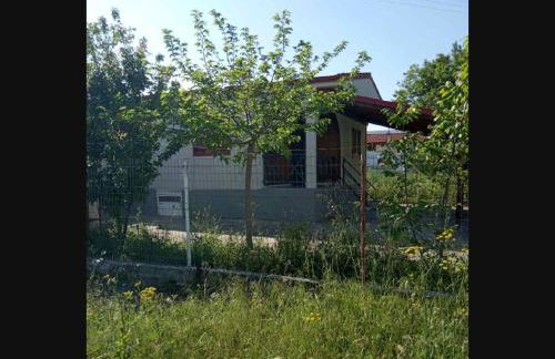 ΕΞΟΧΙΚΗ ΚΑΤΟΙΚΙΑ ΜΕ ΑΥΛΗ - Foto 16