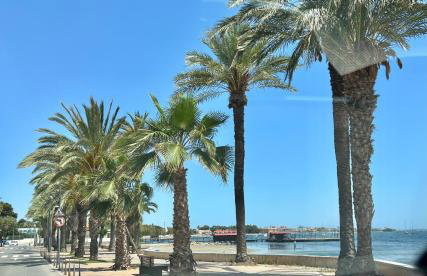 La Palma Holiday Apartment - Photo 26