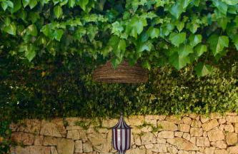 Trulli Amabilia - with swimming pool and parking - Foto 16