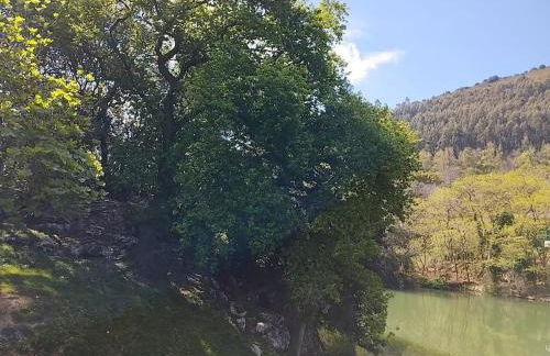 PequeñoCabárceno - Foto 72