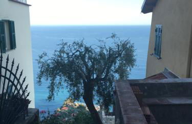 House in Grimaldi. Spectacular view over the French Riviera! - Foto 7