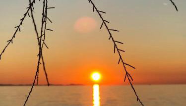 Apartman Lili - Photo 5