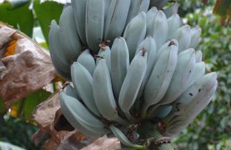 Penthouse Lomo Alto - Foto 50