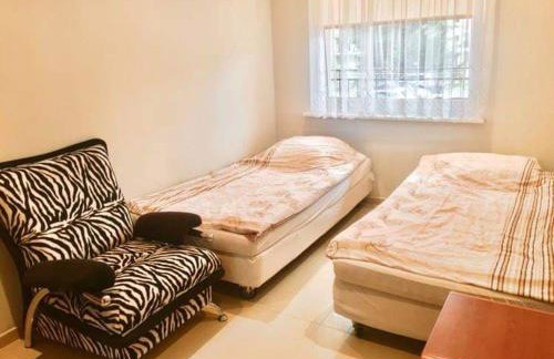 Amber Blue Mare - Foto 9