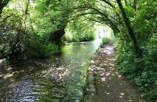 Tudor Rose Cottage - Foto 49