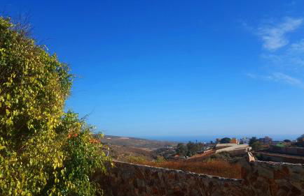 Finca Tropical - Foto 20