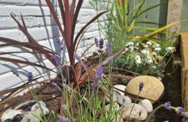 Pebbles Cottage - Foto 30