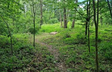 Sosnowy Strumyk - Foto 31