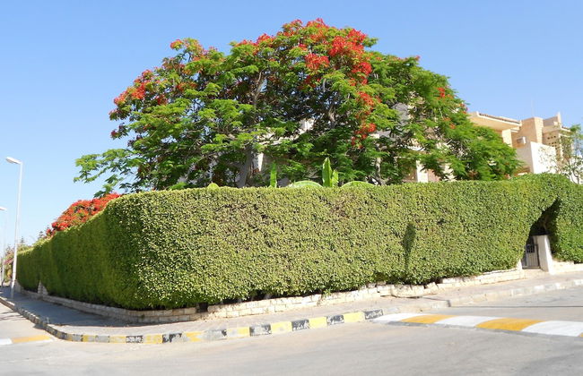 Marina Village North Coast - Photo 24