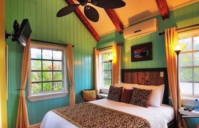 Villa Allamanda - Foto 15