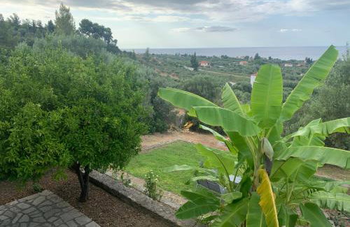 Olive stone Villa - Foto 49