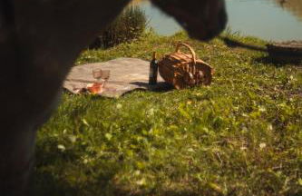 Origine Country Farm - Photo 9