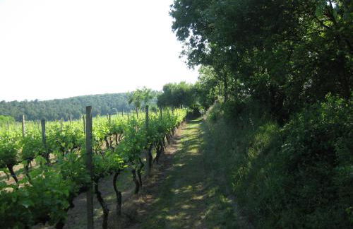 Agriturismo Campagnoletto - Foto 53