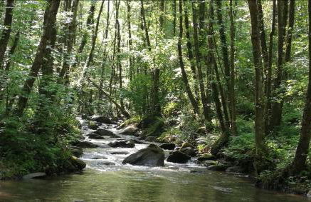 HomeHolidaysRentals Confort - Foto 26