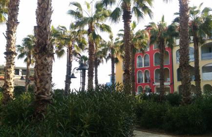 aMare il mare - Foto 1