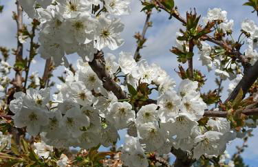 Logement avec terrasse Millau - Foto 11