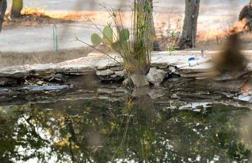Serene Hill Country Wildlife Sanctuary with Porch - Photo 23