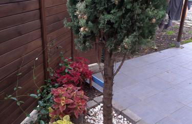 Petit maison avec jardin - Photo 8