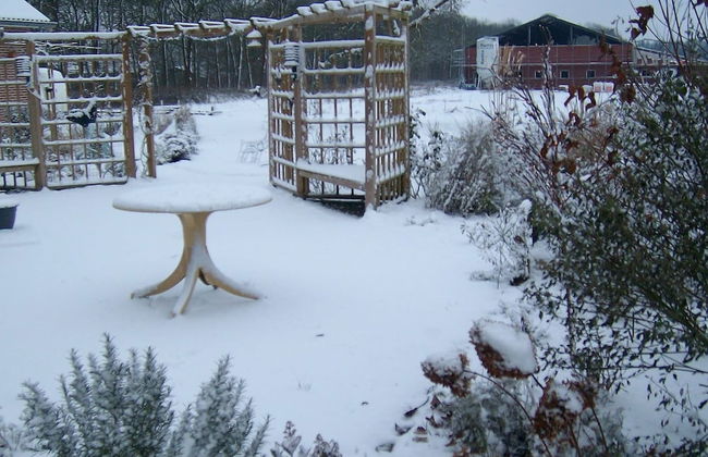 Cozy Forest-edge Home - Foto 21