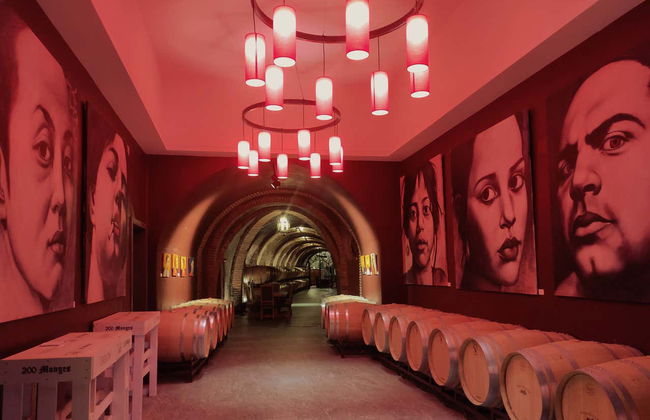 Bodegas Vinícola Real Tour - Photo 9