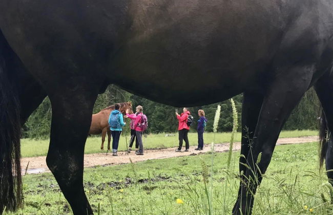 Maison de vacances - LM - Foto 33