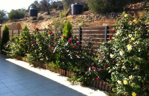 VL Luxury Villa - Photo 5