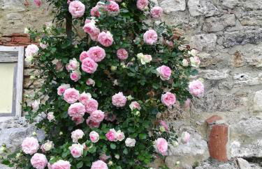 Casa vacanze Santa Giulia - Foto 51