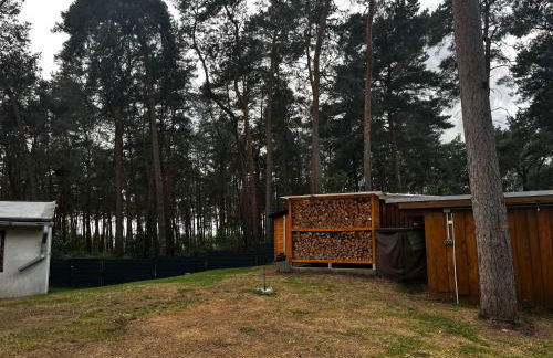 Kiefernblick - Foto 21