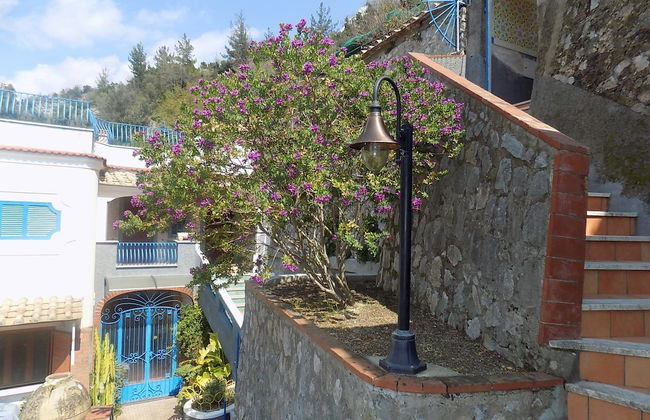 Maison des fleurs - Photo 67