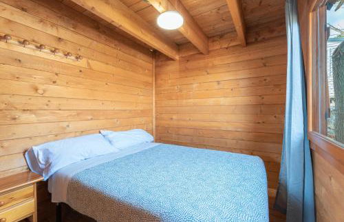 Falaguera Barraca 2 - Foto 8