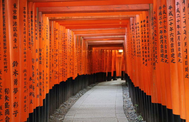 Tour privado por Kyoto - Foto 8