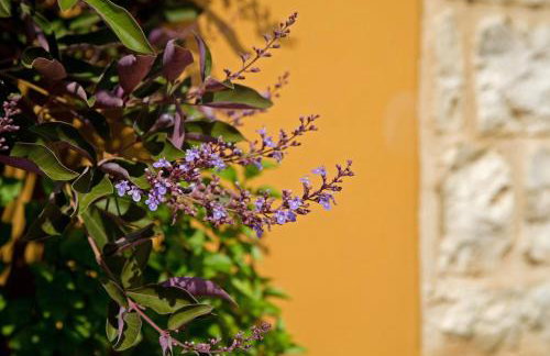 Enastron Villas - Foto 111