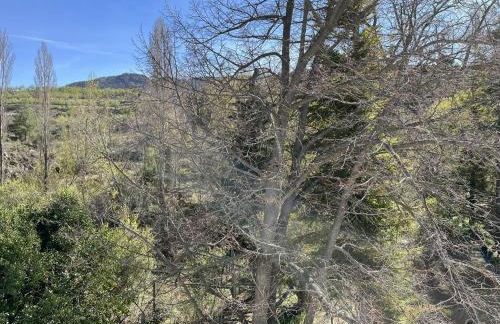 Cortijo San Roque Alojamientos Rurales - Foto 48