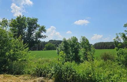 La Ferme du cinéma - Foto 11