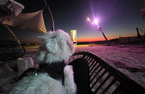 Fiumicino Beach - Sleep & Fly - Foto 6