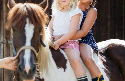 Das Landhaus - Foto 19