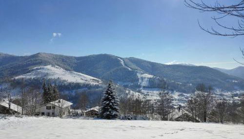 Gîte spacieux à 2 km des pistes de ski - Foto 1, Other