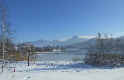 FW Weissensee 44 - Foto 50