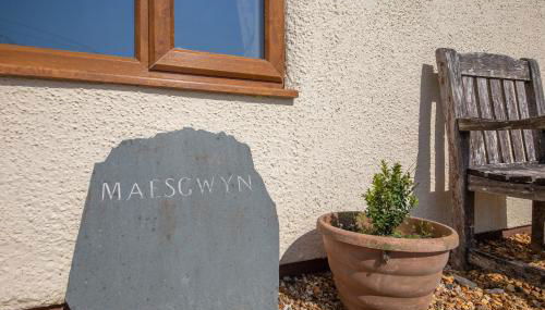 Maesgwyn - Photo 3