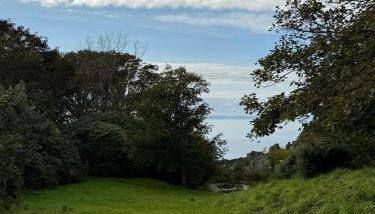Wee Knockinaam, Portpatrick - clifftop seaview - Foto 4, Garden