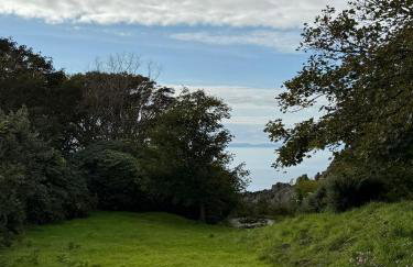 Wee Knockinaam, Portpatrick - clifftop seaview - Foto 4