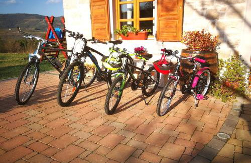 Villa Angela e Giovanni - Foto 17