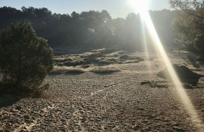 Holiday Apartment Salt and Dunes - Foto 7