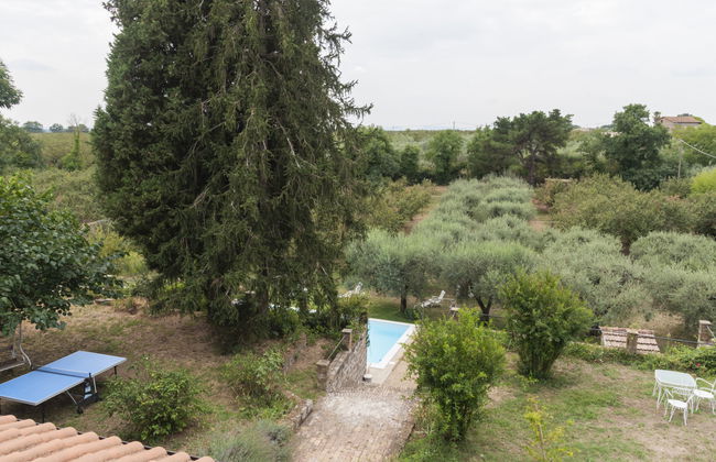 Casale Ai Noccioli (LVC165) - Foto 8