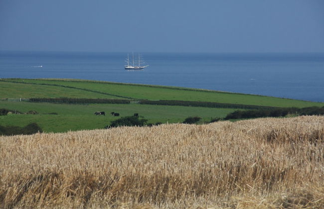 Bayview Farm Holiday Cottages - Foto 18