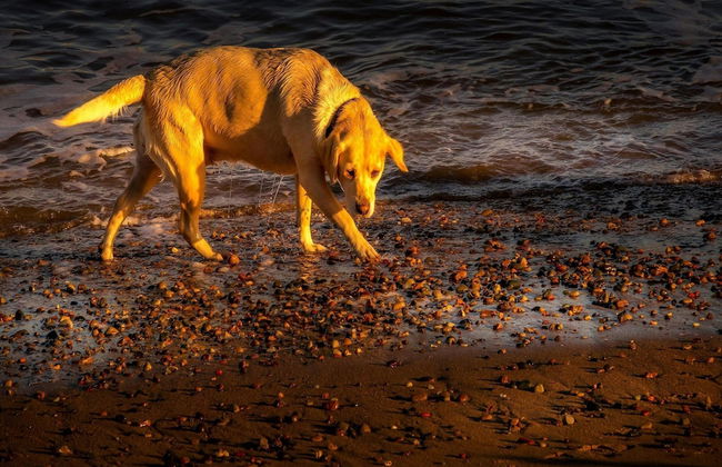 Quaint Apartment in Oostkapelle Zealand With Terrace - Foto 52