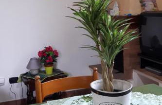 Agriturismo Villino del Grillo - Foto 74