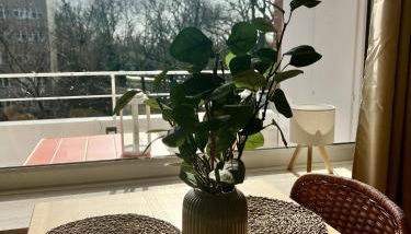 TheFairHome - 5 Min to fair, 8min to city center - Foto 4