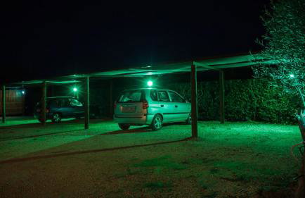 Agroktima Elia - Foto 23