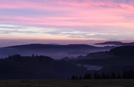 Ferienwohnung Vier Pfoten - Foto 40